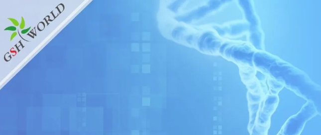 煙酰胺和nmn區別？煙酰胺單核苷酸(NMN) 的化合物