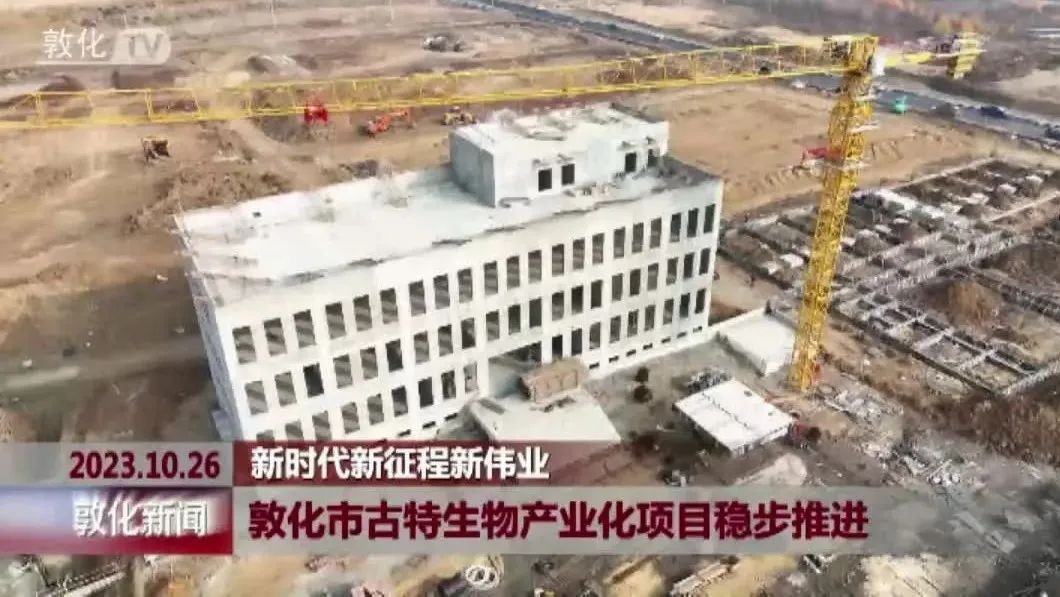 延邊這一項目預計2024年10月份交付使用 延邊這一項目預計2024年10月份交付使用