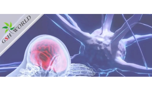 行業關注 - 谷胱甘肽在腦部疾病和衰老中的作用