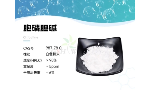 產(chǎn)品資訊 - 胞磷膽堿在視網(wǎng)膜病理學中的作用