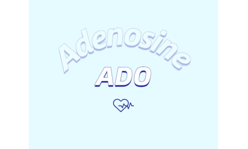 腺苷如何抗皮膚衰老？