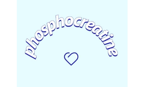 認(rèn)識一下磷酸肌酸鈉