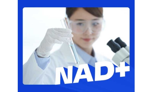 補(bǔ)NAD+，選對(duì)才有效