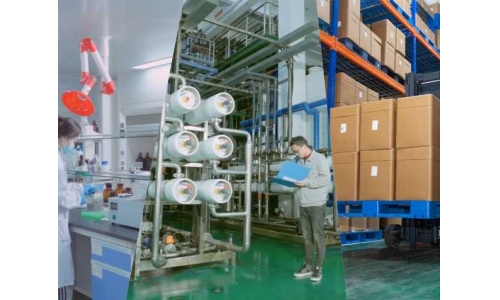 酶法催化賦能：古特生物技術創新與產業化實踐