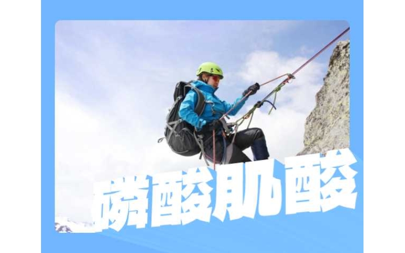 磷酸肌酸粉末有什么用途？