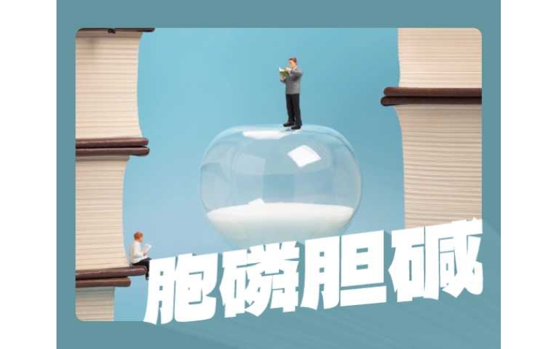 胞磷膽堿比膽堿更好嗎？